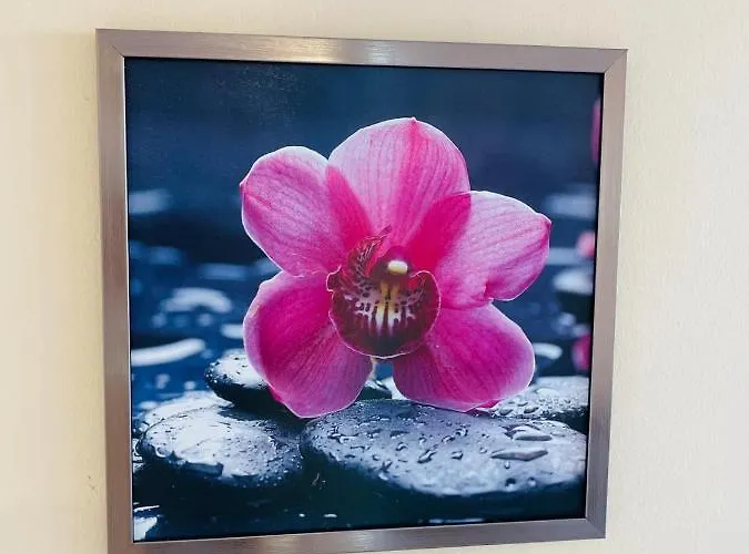 דירה елегантна за гости стефи в центъра на казанлък, партер קאזאנלק